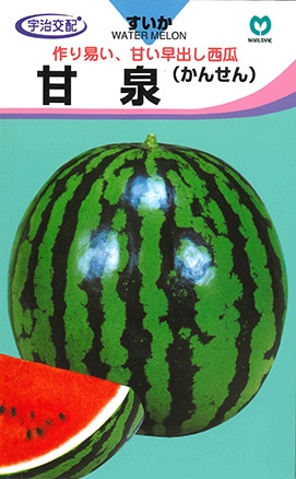 大玉スイカ　甘泉（かんせん）