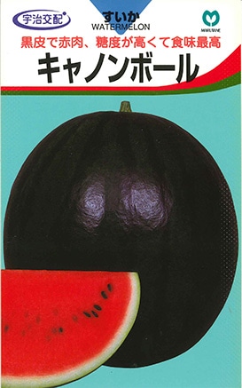 大玉スイカ キャノンボール