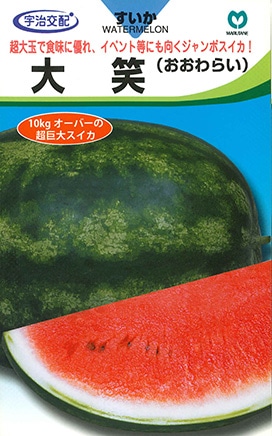 スイカ 大笑（おおわらい） | 果菜類,スイカ,特殊スイカ | 丸種