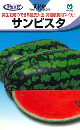 大玉スイカ サンビスタ