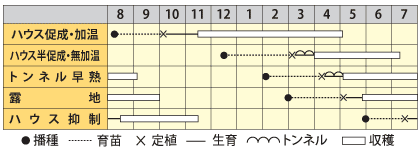 ピーマン ひじり