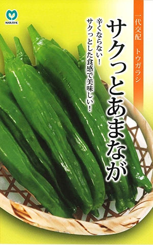 トウガラシ　サクっとあまなが