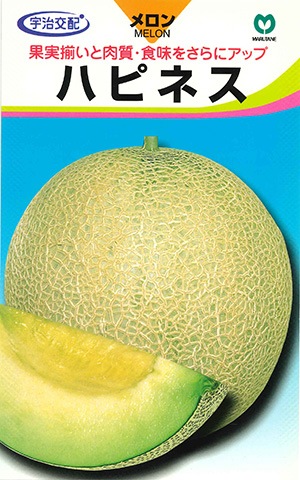 メロン ハピネス