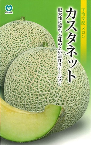 メロン　カスタネット