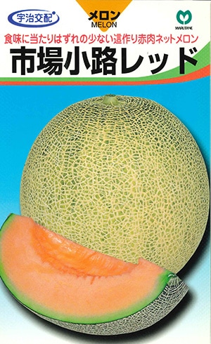 メロン　市場小路レッド