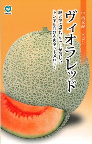 メロン　ヴィオラレッド