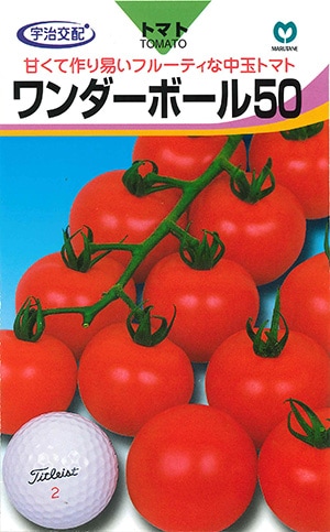 中玉トマト　ワンダーボール50