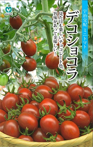 ミニトマト　デコショコラ