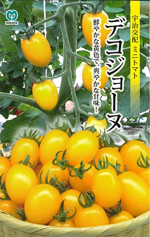 果菜類,トマト | 丸種オンラインショップ |野菜種子販売