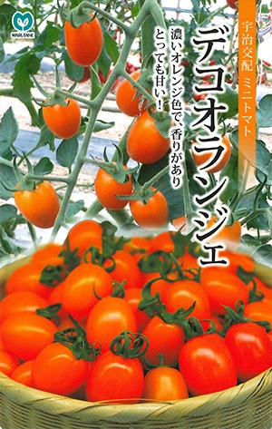 果菜類,トマト | 丸種オンラインショップ |野菜種子販売