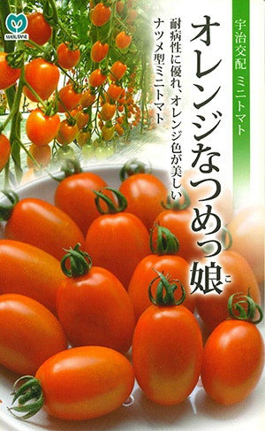 果菜類,トマト,ミニトマト | 丸種オンラインショップ |野菜種子販売