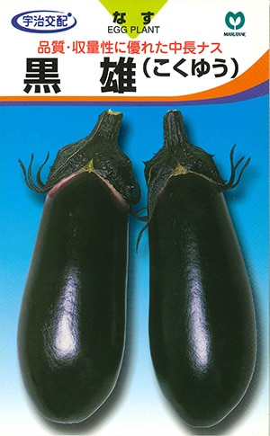 ナス　黒雄（こくゆう）（本年品切）