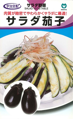 ナス　サラダ茄子