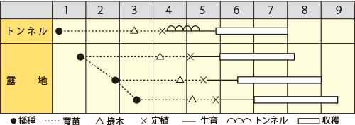 ナス　サラダ茄子