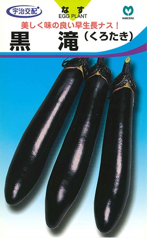 ナス　黒滝（くろたき）