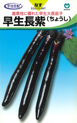 ナス　早生長紫（ちょうし）