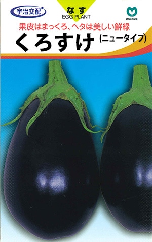ナス　くろすけ（ニュータイプ）