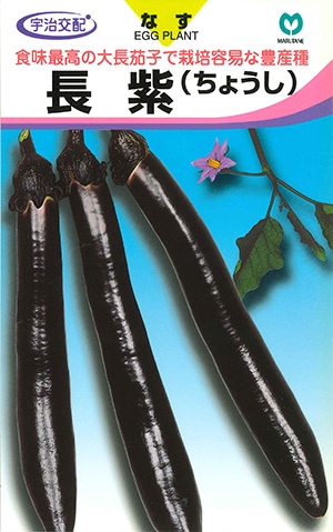 ナス　長紫（ちょうし）