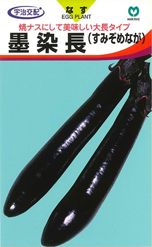ナス　墨染長（すみぞめなが）