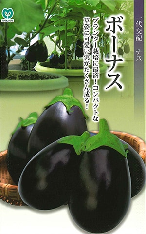 ナス　ボーナス