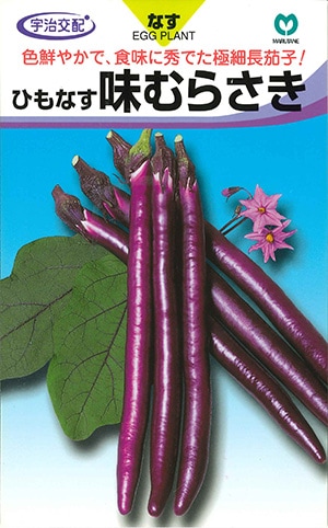 ナス　味むらさき