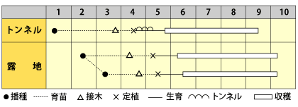 ナス　味むらさき