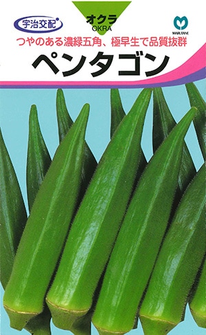 オクラ　ペンタゴン