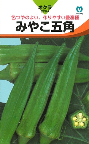 オクラ　みやこ五角