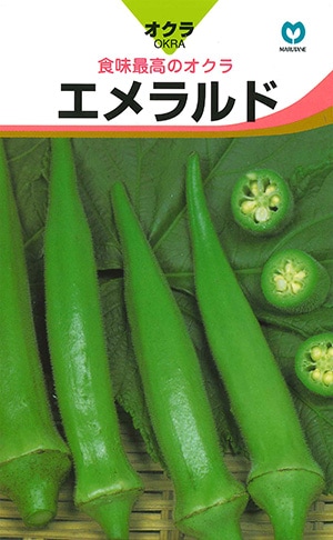 オクラ　エメラルド