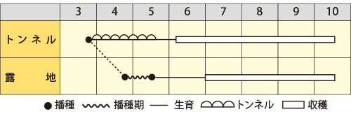 オクラ　エメラルド