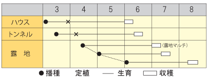 エダマメ　香りえだまめ陽恵（ようけい）