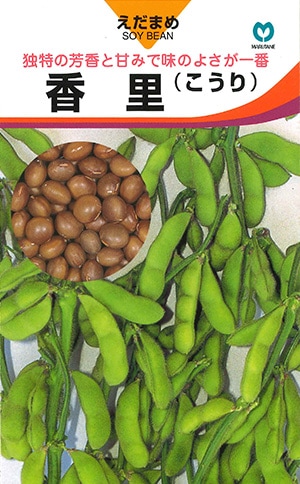 エダマメ　香里（こうり）