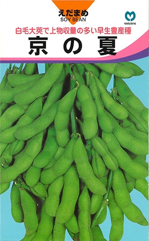 エダマメ　京の夏