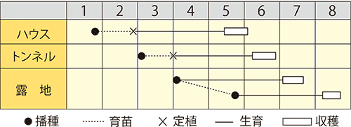 エダマメ　緑豊（りょくほう）