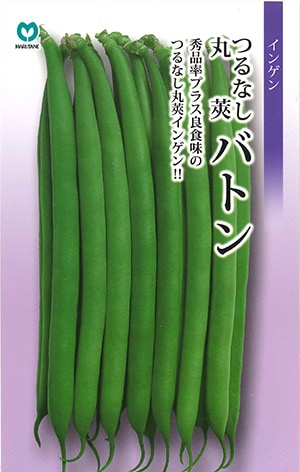 インゲン　バトン