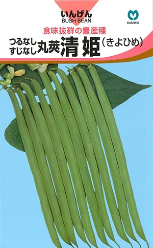 インゲン　清姫