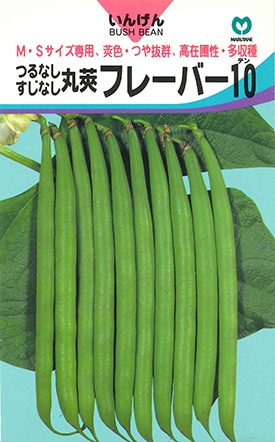 インゲン　フレーバー10