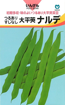 インゲン　ナルデ