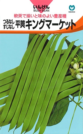 インゲン　キングマーケット