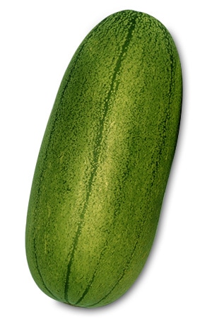 ツケウリ かりもり瓜 | 果菜類,ゴーヤ・その他瓜類,ツケウリ | 丸種  