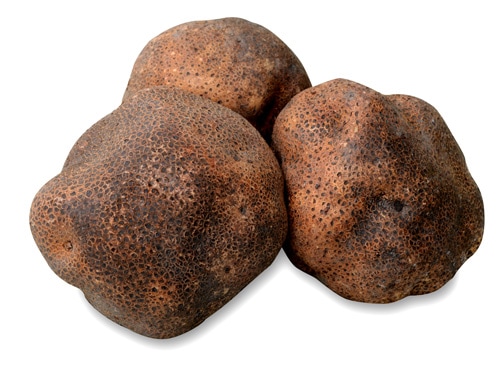 ヤマノイモ　新丹丸