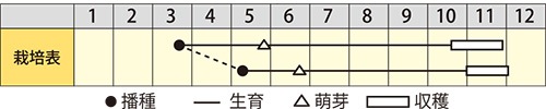 ヤマノイモ　新丹丸