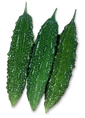 ゴーヤ　太苦瓜