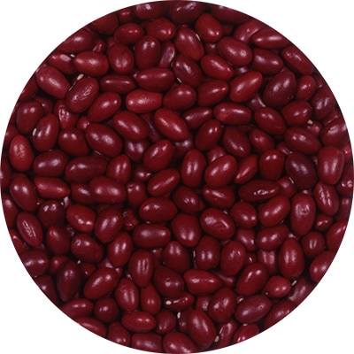 インゲン　本金時菜豆