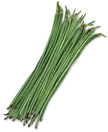 豆類,ササゲ | 丸種オンラインショップ |野菜種子販売