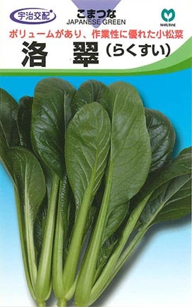 コマツナ　洛翠（らくすい）