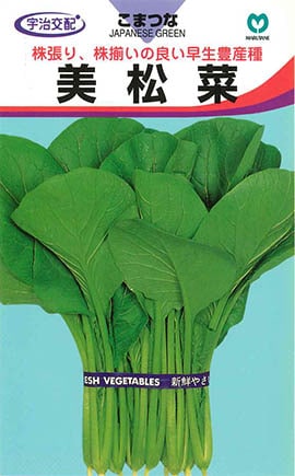 コマツナ　美松菜