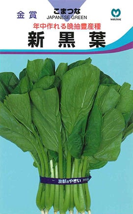 コマツナ　新黒葉小松菜