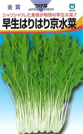 ミズナ　早生はりはり京水菜