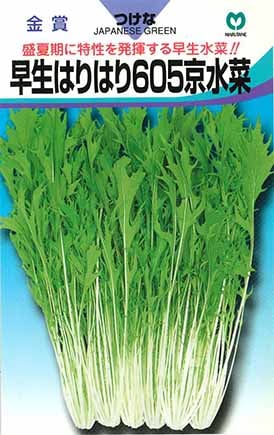 ミズナ　早生はりはり605京水菜